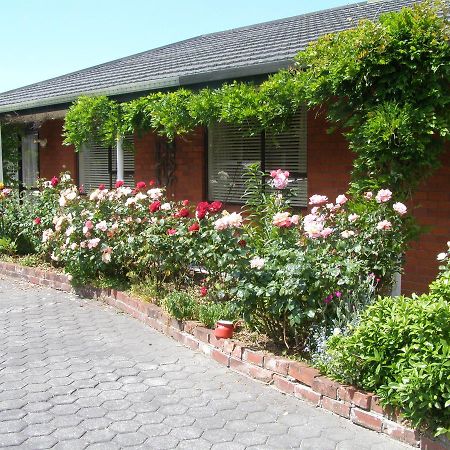 Avenue Westgrove B&B Christchurch Bagian luar foto